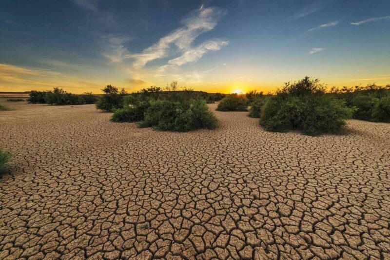 توسعه بیابان