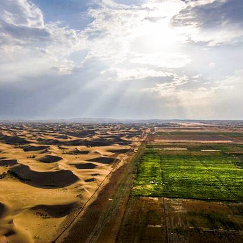 بیابان زدایی